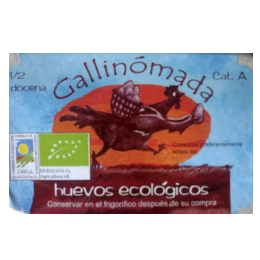 Gallinomada