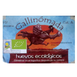 Gallinomada Gallinomada